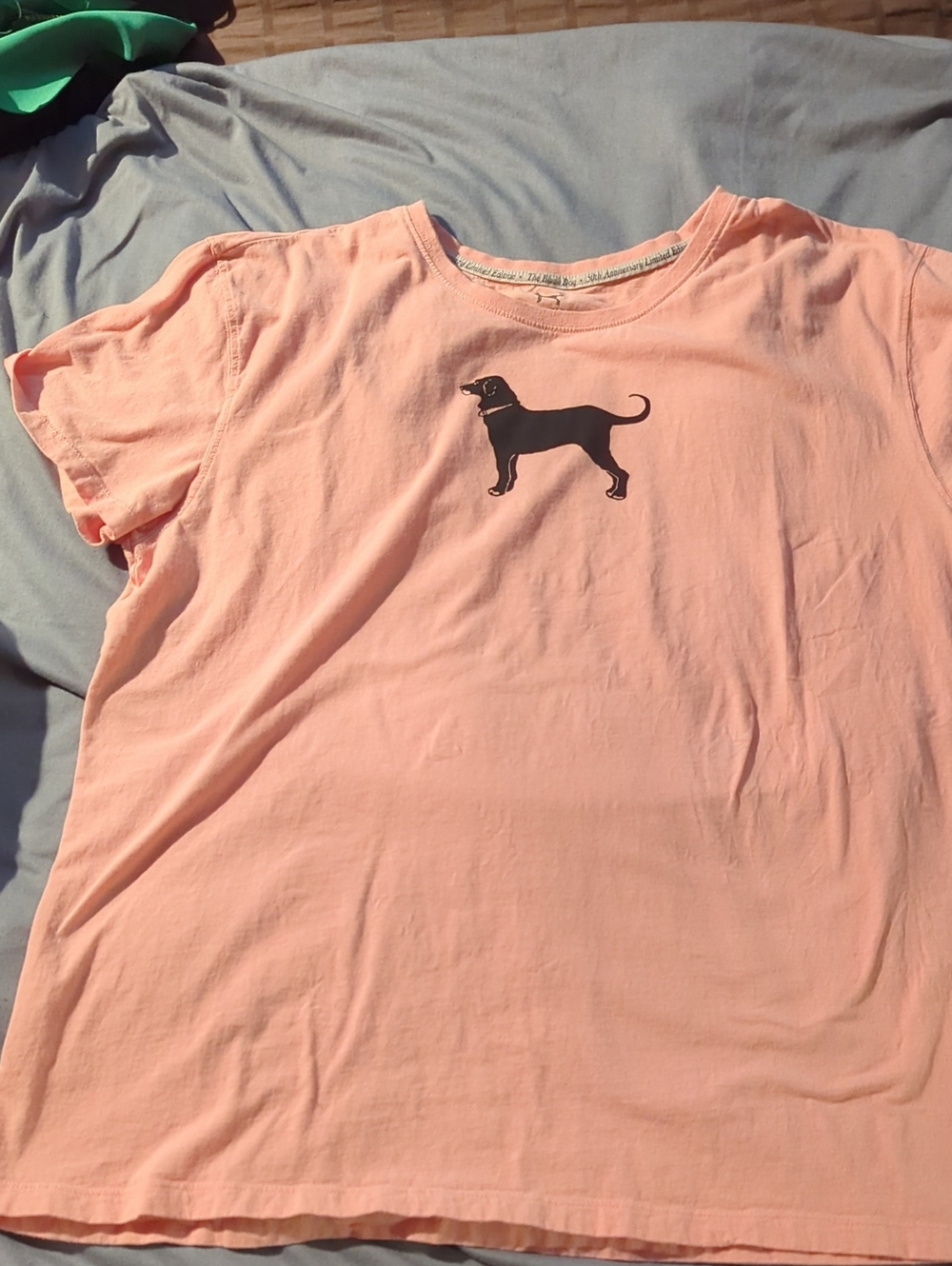 The Black Dog Peach Colored Tee with Black Dog Graphic- 50th anniversary Limited - Picture 3 of 5